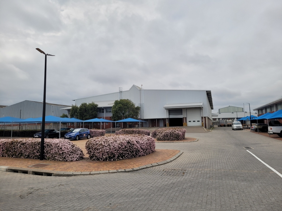 To Let Commercial Property for Rent in Epping Industrial Western Cape